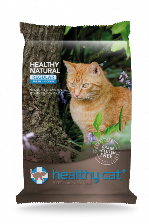 Healthy Cat Regular Chicken