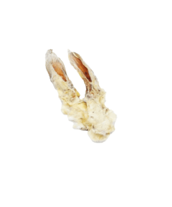 Konijnenoren met Haar